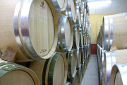 Barricas de la bodega Hijos de Antonio Polo en Peñafiel (Valladolid).-M. TORRES