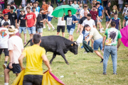 Tienta a uno de los toros de La Saca durante el Lavalenguas de San Juan 2022. GONZALO MONTESEGURO