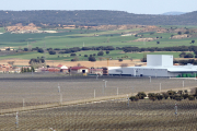 Plantación de Nufri en La Rasa, al fondo el casco urbano del pueblo.-HDS