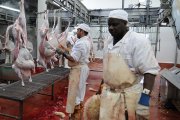 Un trabajador realiza su tarea en Soria.-Valentín Guisande