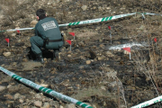 Un agente del Seprona analiza el foco del incendio en Ágreda.-SUBDELEGACIÓN