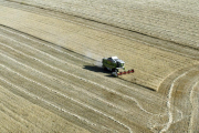 Una cosechadora trabaja en un campo de cereal en Valladolid.-ICAL