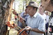 Imagen de archivo de un grupo de resineros en Tardelcuende. / VALENTÍN GUISANDE-