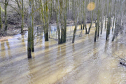Riberas del Duero anegadas por el agua ayer en Garray. / A. M. -