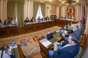 Pleno de Diputación de Soria. MARIO TEJEDOR