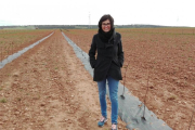 Nuria en su explotación de Almendra donde ha plantado sus zarzamoras-E. M.