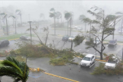 Árboles caídos por los vientos huracanados en un párking exterior de San Juan (Puerto Rico), el 20 de septiembre-AFP / HECTOR RETAMAL