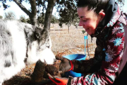 Blanca junto a uno de sus perros truferos en la finca.-HDS