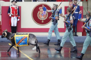 ‘Miura’, la cabra de la legión, ha desfilado en el día de la Hispanidad.-EFE