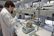 Imagen de archivo de una investigadora del Centro de los Alimentos.-HDS