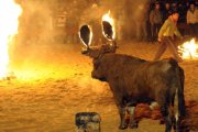Detalle de una edición anterior del Toro Jubilo en Medinaceli.-ÁLVARO MARTÍNEZ