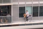 Captura del vídeo donde se ve al hombre que rescata a su gato caminando por una estrecha cornisa, en Toronto.-INSTAGRAM