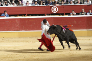 Detalle de la novillada de San Saturio del año pasado.-MARIO TEJEDOR