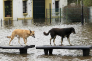 Argentina padece fuertes inundaciones.-AFP