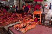 Un carnicero prepara su mostrador con carne de perro lista para ser cocinada en el festival de Yulin.-Foto: CHINA STRINGER NETWORK / REUTERS