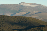 Monte del Moncayo-V.G.