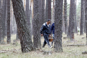 Un hombre pasea por el monte buscando setas.-HDS