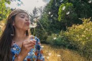 Una niña soplando dientes de león.-EL PERIÓDICO