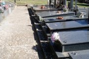Estado del cementerio municipal, una vez concluido el plan de limpieza.-AYTO. SORIA