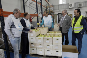 Cacho, Oliva y Antón son los padrinos de la Gran Recogida del Banco de Alimentos-Luis Ángel Tejedor