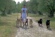 David Lago, impulsor junto a su mujer de un cementerio de animales de compañía, pasea con varios perros.-E.M.