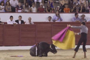 Imagen de una de las clases prácticas taurinas con novillos en Colmenar Viejo.-PLATAFORMA LA TORTURA NO ES CULTURA