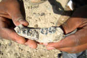 La mandíbula hallada en el yacimiento de Etiopía.-Foto:   BRIAN VILLMOARE / AFP