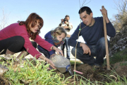 La concejala de Medio Ambiente,Ana Calvo, participó ayer en la plantación de olmos en los alrededores de San Saturio.-DIEGO MAYOR