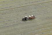Los siniestros presentados por los agricultores afectan a más de 310.000 hectáreas-EL MUNDO
