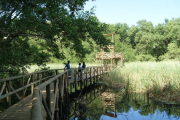 La isla de Salamanca recibió la denominación Vía Parque porque permite al visitante contemplar bosques de manglar, ciénagas y playas desde la carretera.-PARQUE ISLA DE SALAMANCA