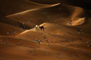Las palomas vuelan sobre el desierto de Liwa, a 250 kilómetros al oeste del emirato del Golfo de Abu Dhabi.-KARIM SAHIB/AFP