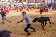 Vaquillas por San Saturio. MARIO TEJEDOR (37)