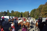 Imagen de la trashumancia en Ágreda-