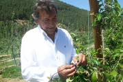 Raúl Sanz, promotor de la nueva plantación, trabaja en unos frutales.-FINCA SEÑORÍO DE RIOJA
