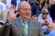 El rey Juan Carlos.-EFE / JUANJO MARTÍN