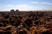 Un trabajador preparando las tierras en una parcela cercana a la capital salmantina.-- ENRIQUE CARRASCAL