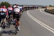 Los ciclistas de la Vuelta, durante la séptima etapa de la prueba.-EFE / JAVIER LIZON