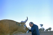 José Gordón acaricia a uno de sus ‘caprichos’ en su finca ubicada en el municipio leonés de Jiménez de Jamuz.-- R. GRÁFICO: EL MUNDO.