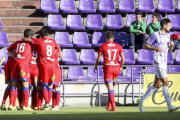 Los jugadores del Numancia celebran el gol de Mateu marcado en el José Zorrilla.-MIGUEL ÁNGEL SANTOS