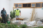 Marihuana intervenida en la operación. HDS