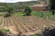 Navapalos, visto desde su huerta ecológica.-JAVIER NICOLÁS