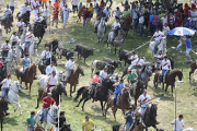Los sanjuaneros disfrutaron ayer de una Saca complicada por la dispersión de los novillos. / VALENTÍN GUISANDE-