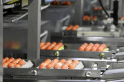 Instalaciones de la granja Pinilla en la provincia de Valladolid, uno de los productores integrados en la Plataforma comercial.-E. M.