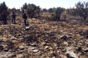 Terreno del sabinar quemado en Berlanga-D.S.