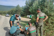 Agentes medioambientales y Guardia Civil pesan banastas de boletus.
