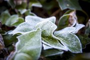Diciembre nos deja imágenes de hielo y nieblas
