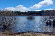 El pantano de la Cuerda del Pozo este domingo.