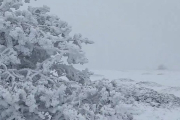 Mayo ha comenzado con frío en Soria, pero lo que se ha podido vivir en los pueblos o la capital poco tiene que ver con la heladora estampa en las partes más altas de Duruelo de la Sierra. Agustín Sandoval trae desde los más de 2.000 metros de altitud imágenes de nieve y hielo más propias de un invierno nórdico que de una primavera ya mediada.  <br />Según explica en su perfil de Twitter, @meteoduruelo, el responsable de la estación Meteoclimatic se ha encontrado "condiciones cuasiárticas en las cotas más altas de Duruelo de la Sierra,  Soria. Unos 15 bajo cero de ST (sensación térmica) por viento,  windchill, niebla y espectacular cencellada. Cotas 2.050 a 2.100, esta mañana" de jueves.