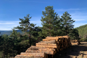 Madera de gestión forestal sostenible apilada.