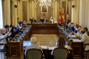 Imagen del pleno de la Diputación celebrado este viernes.